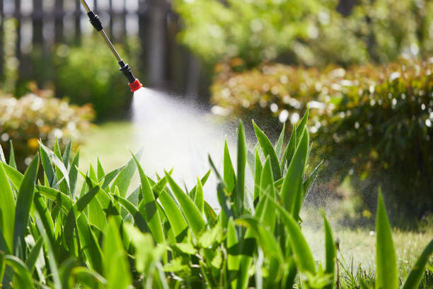 24/7 Emergency Termite Control experts in Crab Orchard, WV