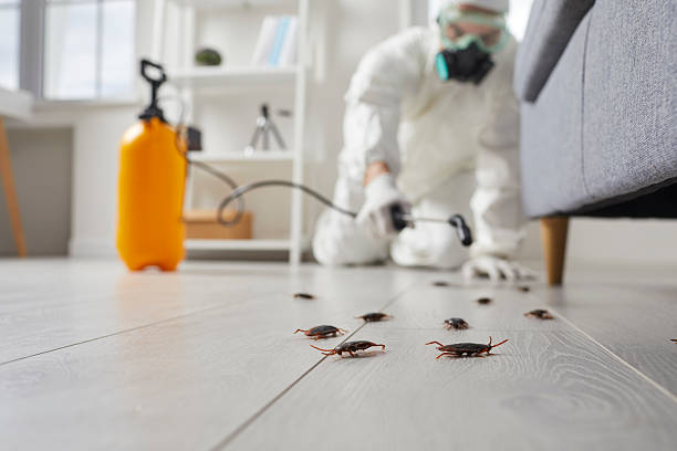 Trusted Cockroach Control service in Crab Orchard, WV - Nex Pest Control